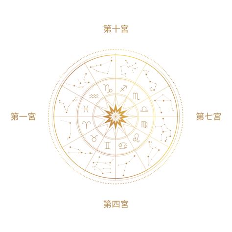 飛星 意思|十二宮位的飛星專論